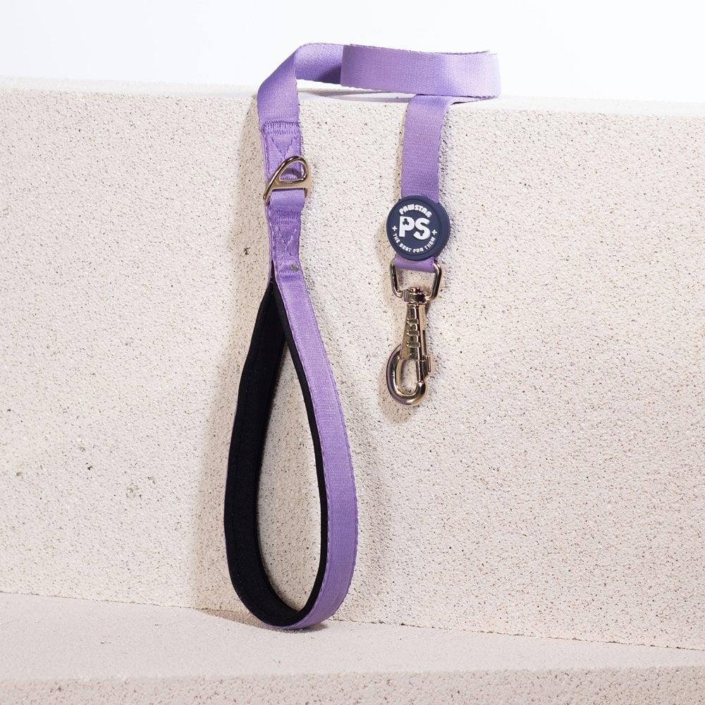 PawStar L10 Lila Sevk Kayışı