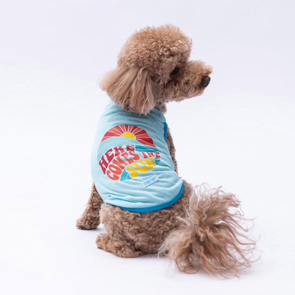 PawStar Mavi The Sun T-Shirt Küçük Irk