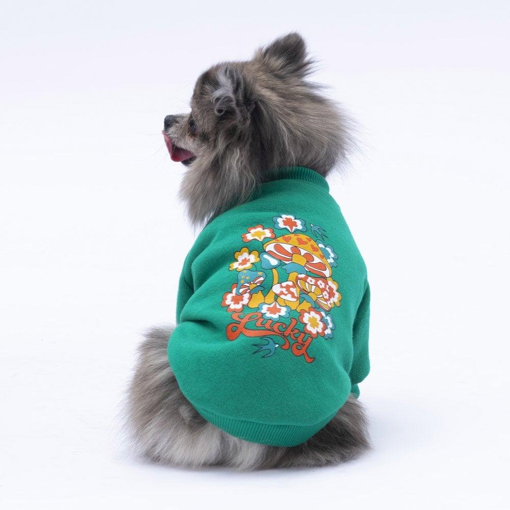 PawStar Yeşil Chogqing Sweat Küçük ve Orta Irk