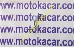 TVS Apache RTR 200 Arka  Fren Petalı Yayı Orijinal