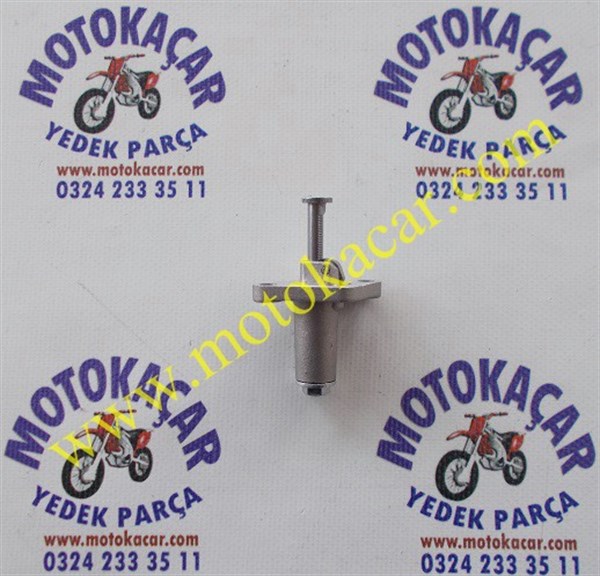 CYGNUS L TANSİYONER