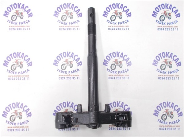 KUBA ZENZERO ÖN PLATIN ORJINAL