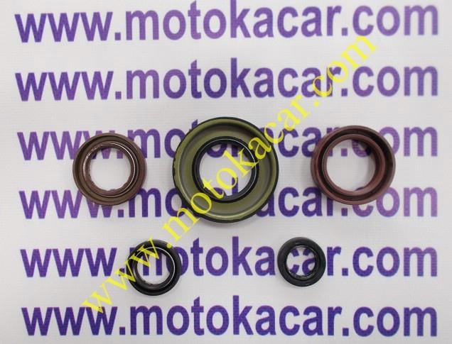 TVS Ntorq 125 Keçe Takımı Orijinal