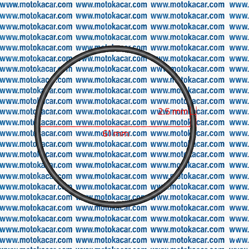 TVS RTR 200 Benzin Pompası O-Ringi (2.5x61 Orijinal