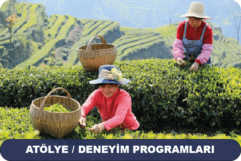 Atölye Deneyim Programları