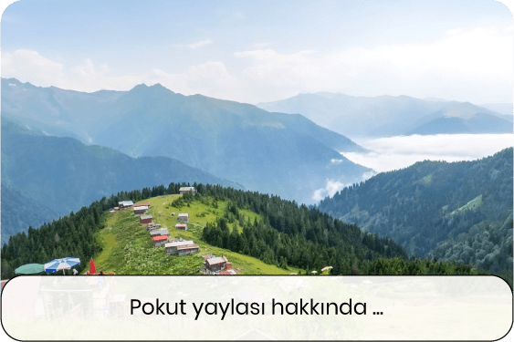 Pokut Yaylası hakkında bilgiler