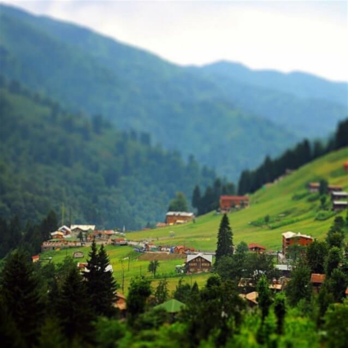 AYDER YAYLASI 4 GECE KONAKLAMALI BUTİK PAKET