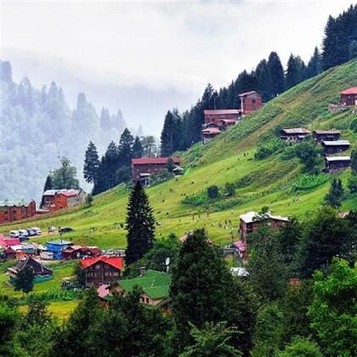AYDER YAYLASI 4 GECE KONAKLAMALI EKO PAKET