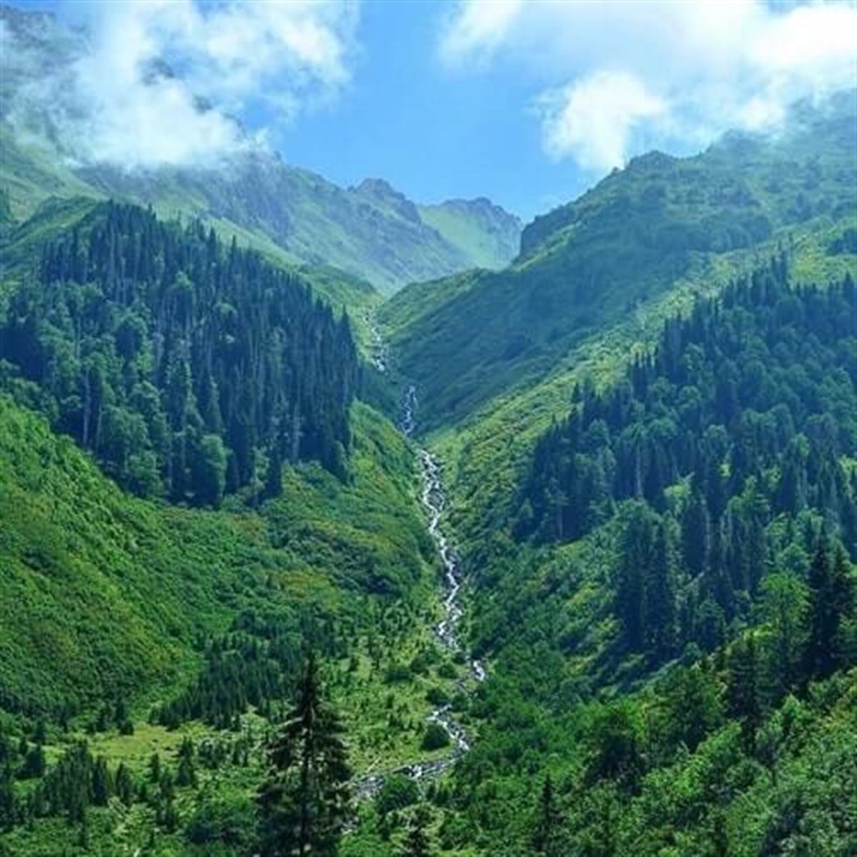 RİZE MERKEZ 2 GECE KONAKLAMALI YILDIZ PAKET
