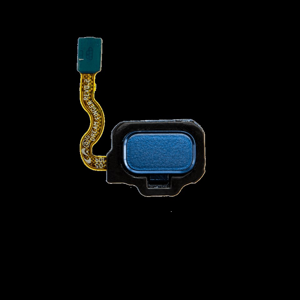 Samsung Galaxy S8 G950 Home Parmak Okuyucu Film Flex Mavi