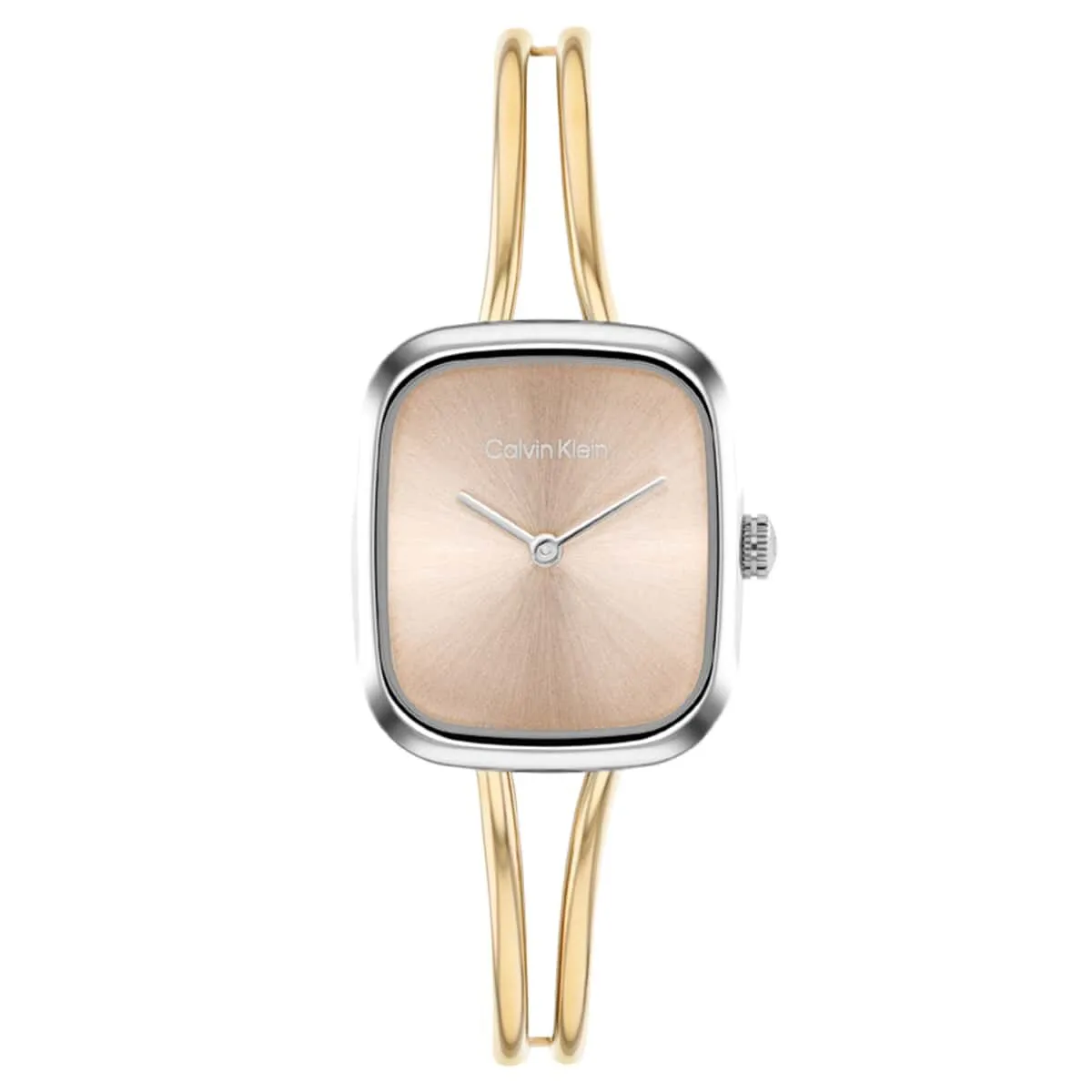 Calvin Klein CK25100134 Kadın Kol Saati