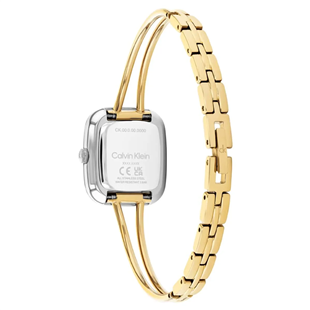 Calvin Klein CK25100134 Kadın Kol Saati