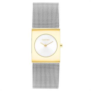 Calvin Klein CK25100139 Kadın Kol Saati