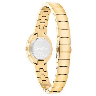 Calvin Klein CK25100147 Kadın Kol Saati
