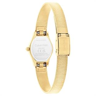 Calvin Klein CK25100193 Kadın Kol Saati