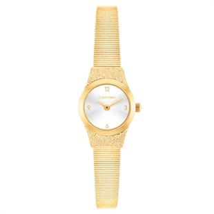 Calvin Klein CK25100193 Kadın Kol Saati