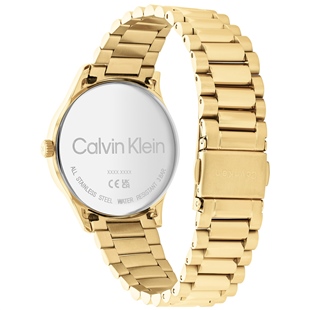 Calvin Klein CK25200043 Kadın Kol Saati