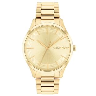 Calvin Klein CK25200043 Kadın Kol Saati