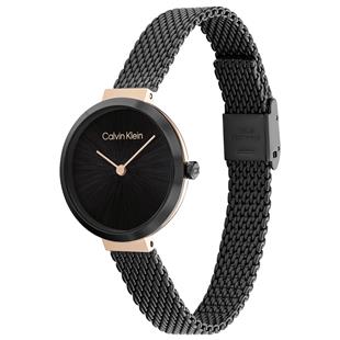 Calvin Klein CK25200084 Kadın Kol Saati