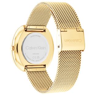 Calvin Klein CK25200246 Kadın Kol Saati