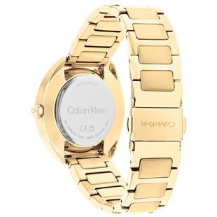Calvin Klein CK25200276 Kadın Kol Saati