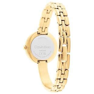Calvin Klein CK25200279 Kadın Kol Saati