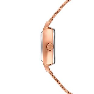 U.S. Polo Assn. USPA2066-03 Kadın Kol Saati