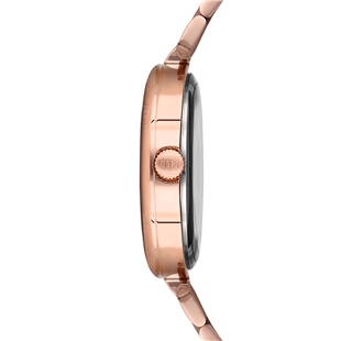 U.S. Polo Assn. USPA2011-01 Kadın Kol Saati