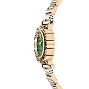 Versace VRSCVE2Q00622 Kadın Kol Saati