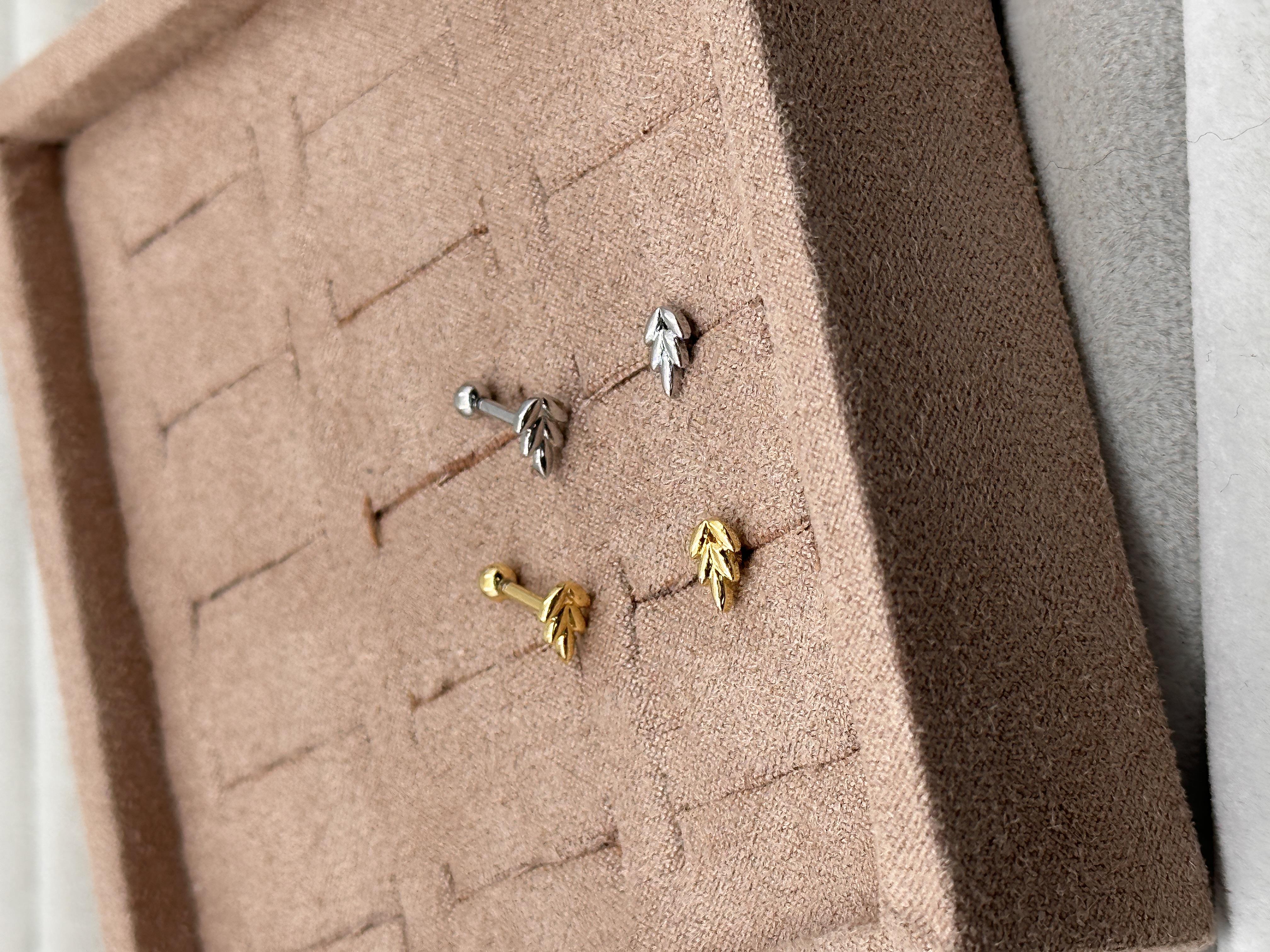 PLANT TRAGUS PIERCING 