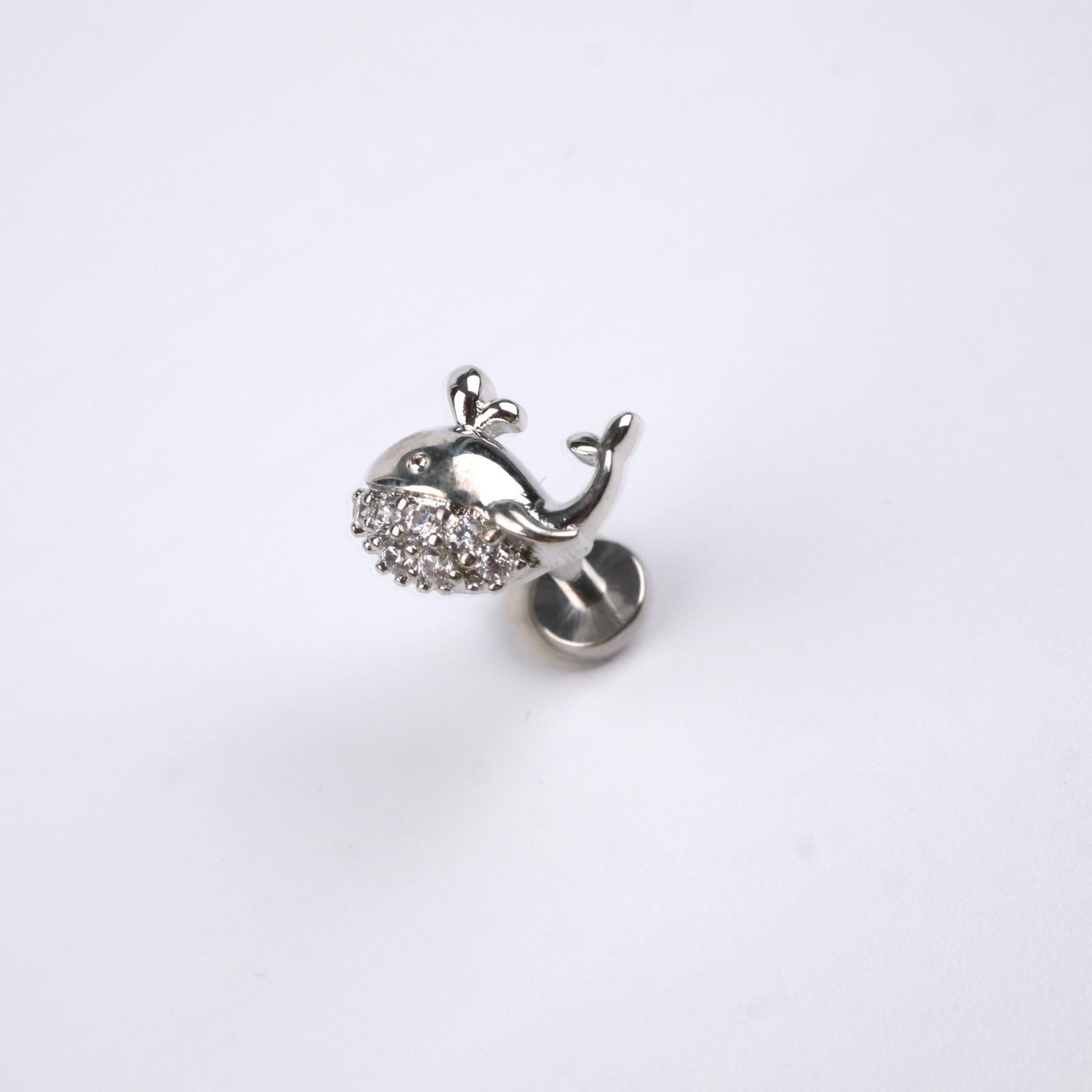 Toptan TRAGUS PİERCİNG 