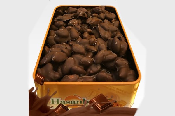 Hasanbey Çikolatalı Kayısı Çekirdeği Büyük Boy 450 GR
