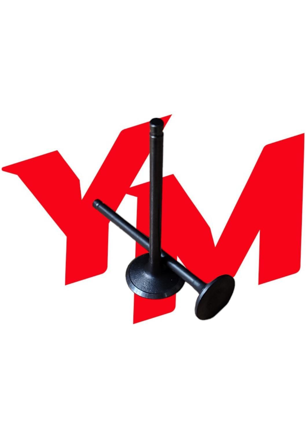 Sym Fiddle 2 125 Subap TakımıSym Fiddle 2 125 Subap Takımı
