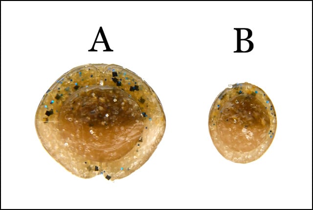““Keitech_swing-impact-12””