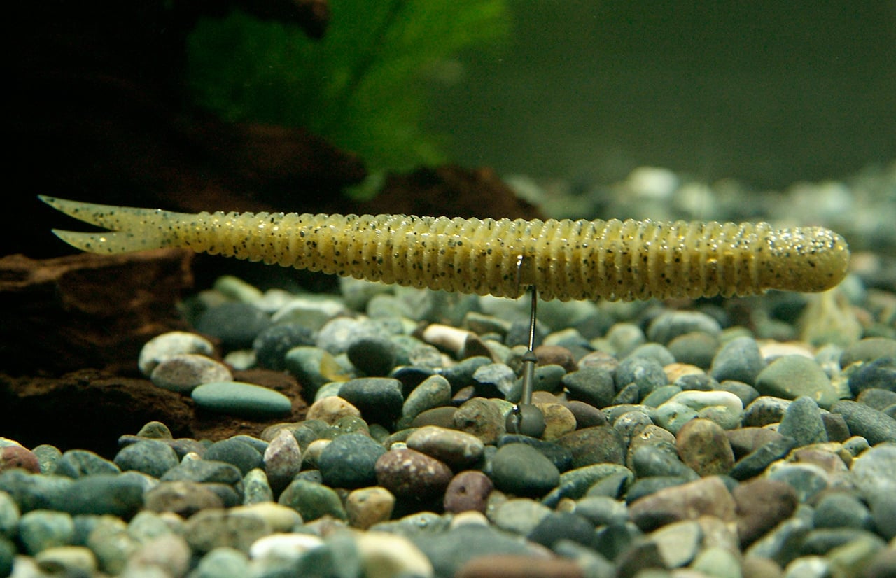 ““Keitech_live-impact-4””