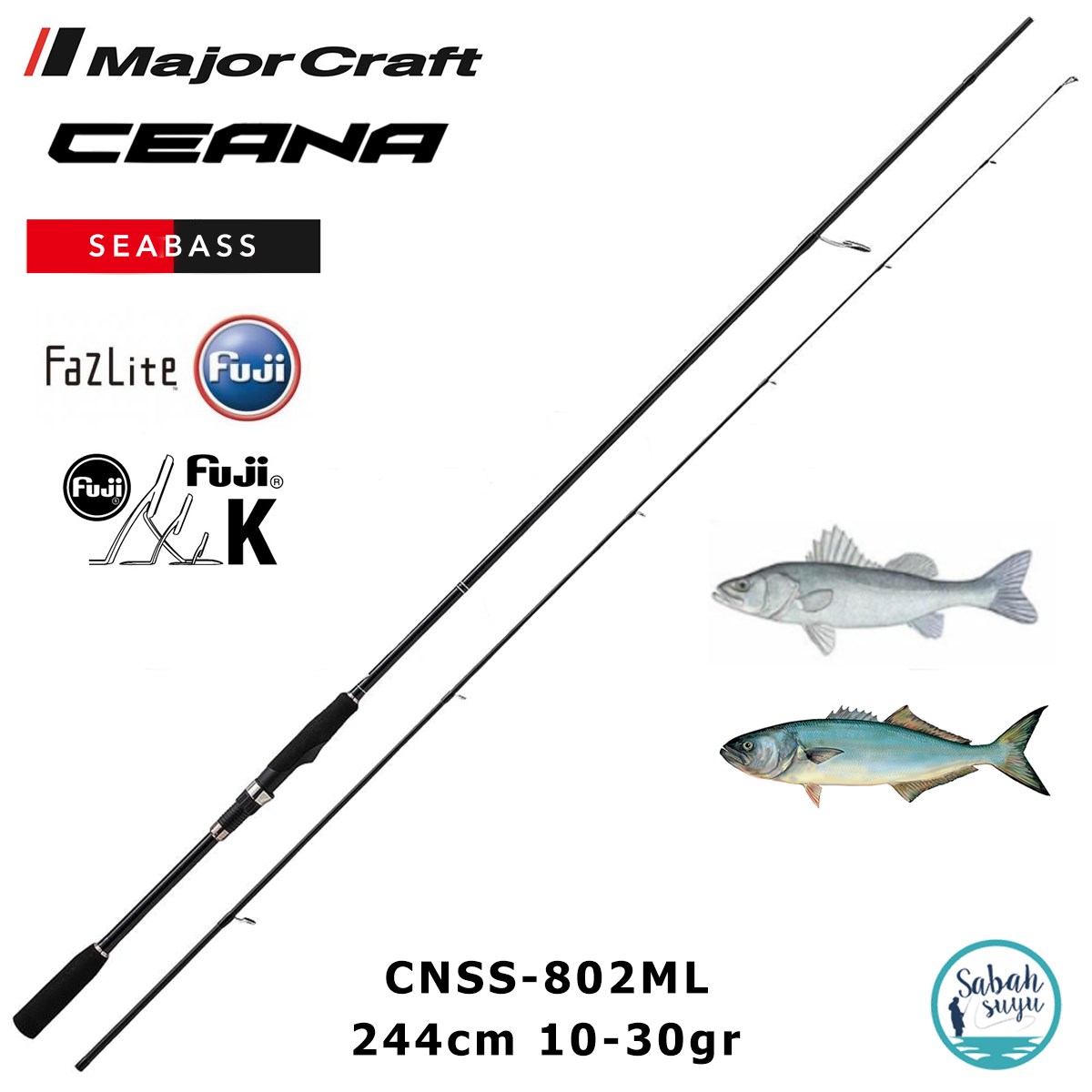 Major Craft Ceana CNSS-802ML Seabass 244cm 10-30gr (2P) Spin Kamış