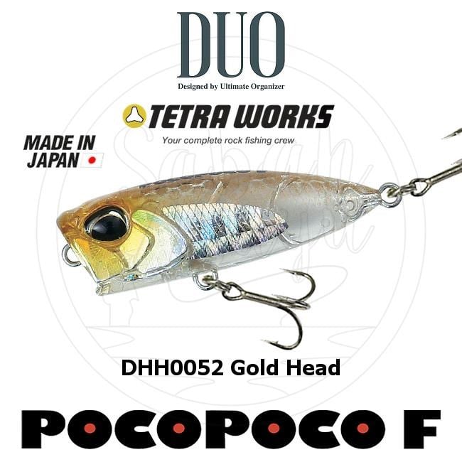 Duo Tetra Works Pocopoco 40F DHH0052 Gold Head