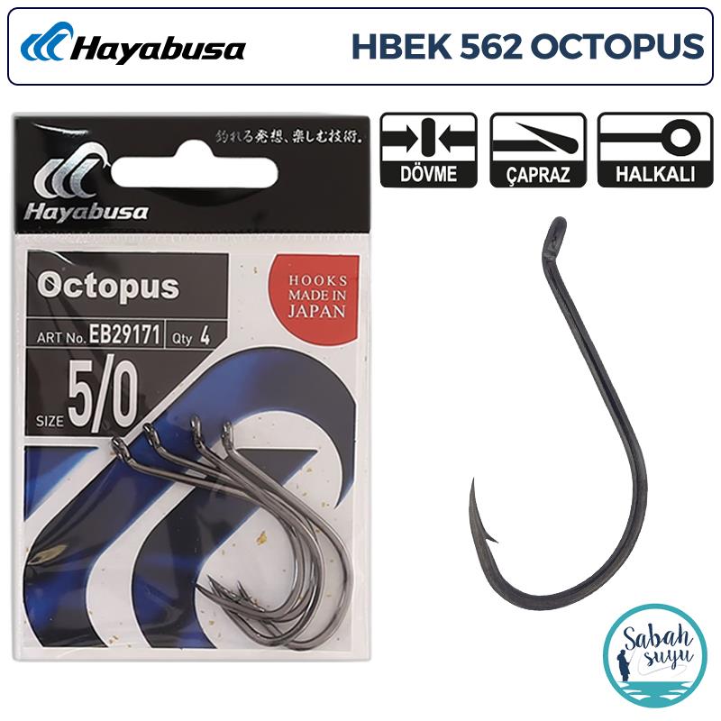 Hayabusa HBEK 562 Octopus Delikli İğne Siyah #5/0 (4 Adet)