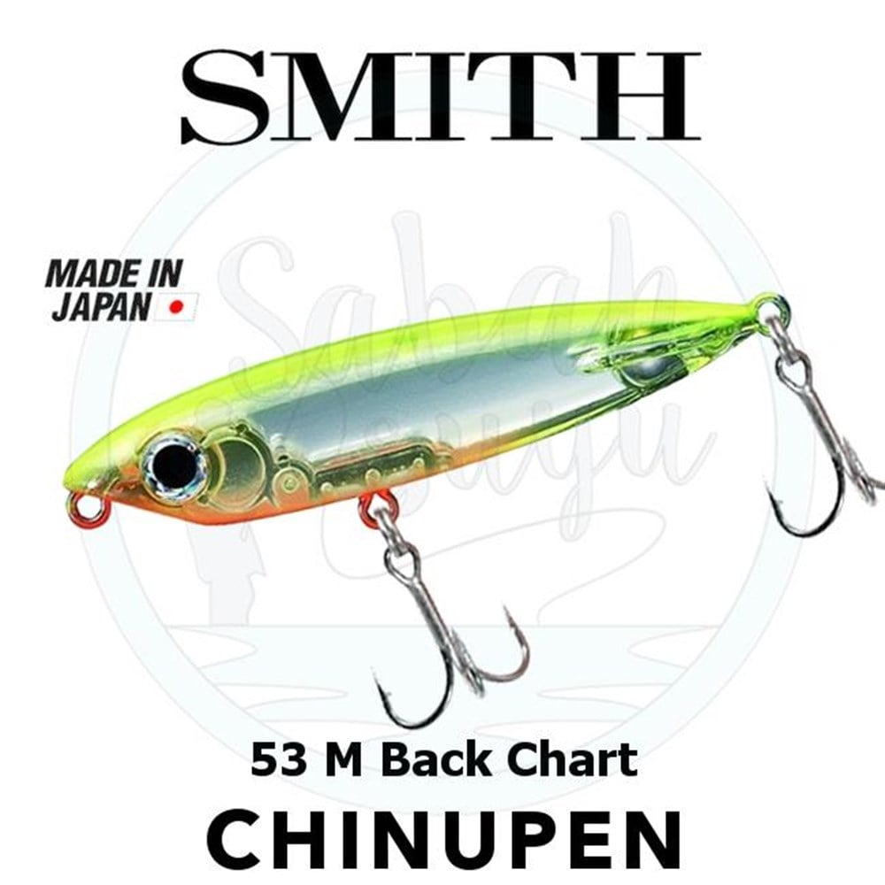 SMITH CHINUPEN Renk 53 M Back Chart