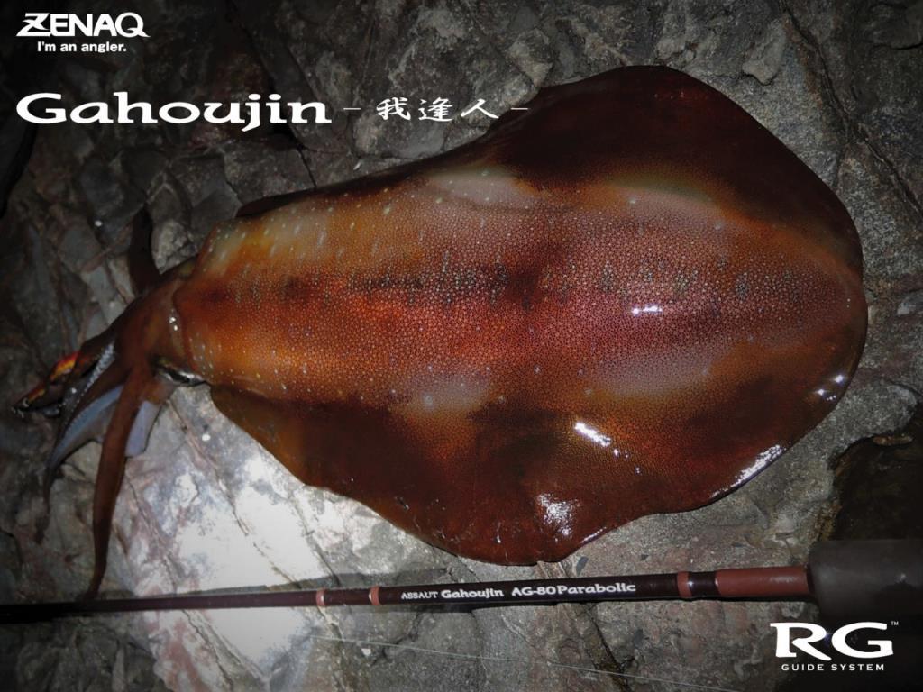 Zenaq Gahoujin AG80 Parabolic (RG) 244cm 13-28gr Spin Kamış