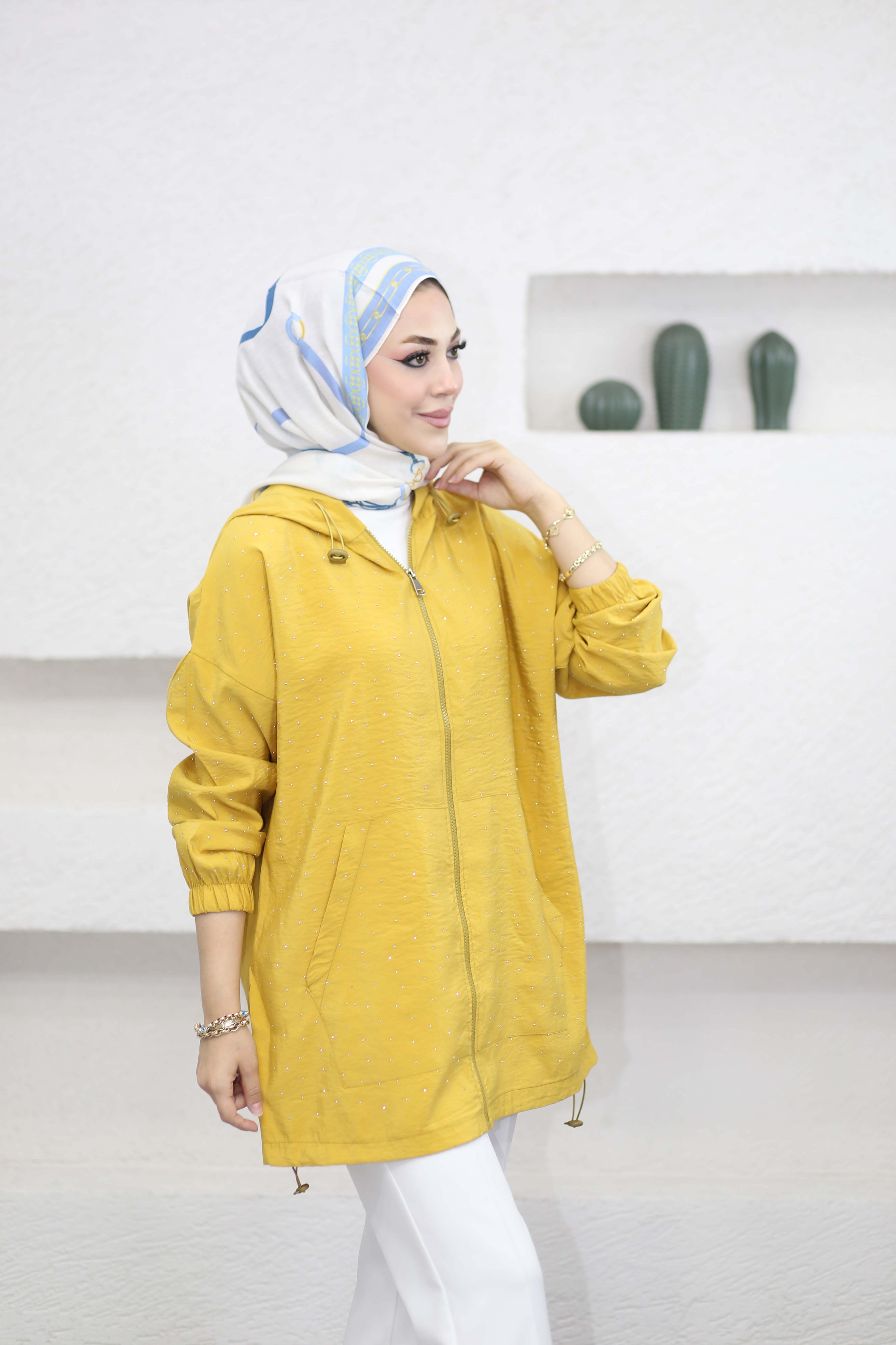 Taşlı Kap Hardal 9066