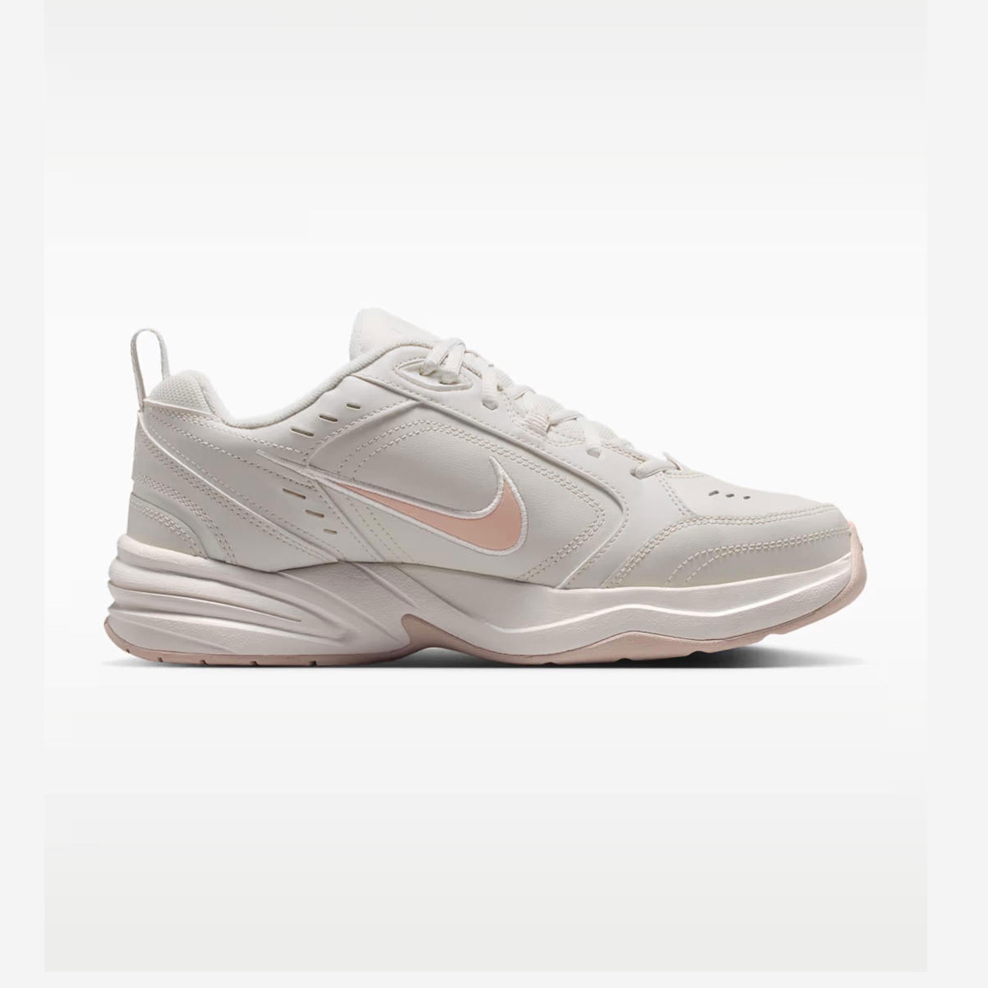 AIR MONARCH IV - VİZON