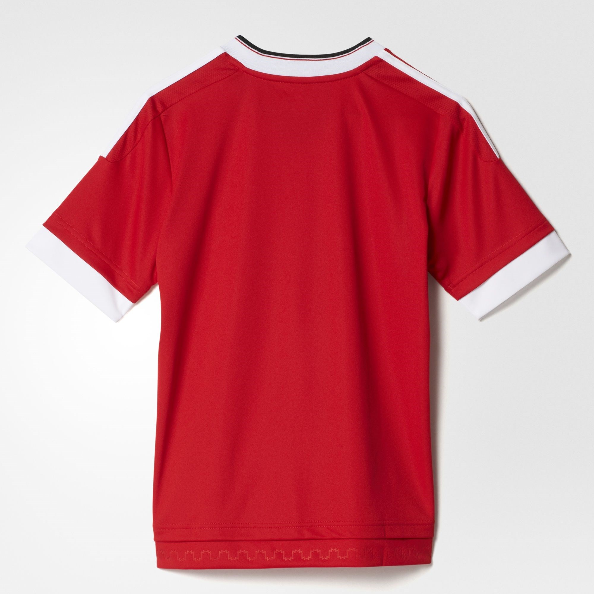 O'Neills Adults Cork 22/23 Home Jersey Red Life Style