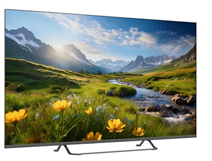 Profilo 55PA535ESG 4K Ultra HD 55