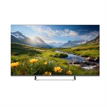 Profilo 55PA535ESG 4K Ultra HD 55