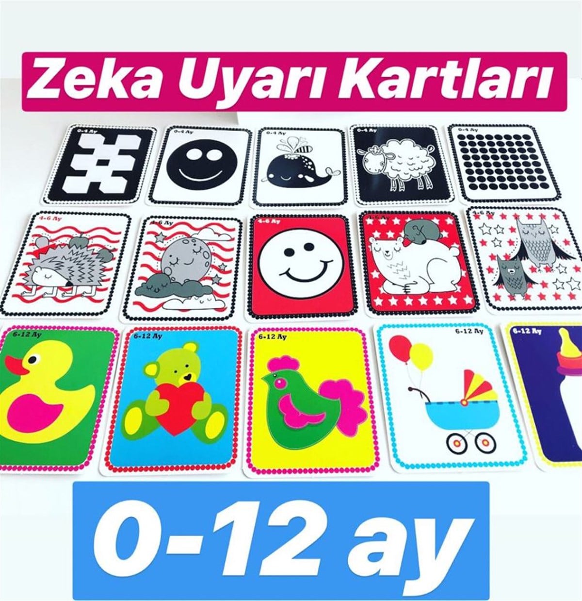 0-12 ay Zeka Uyarı Kartları