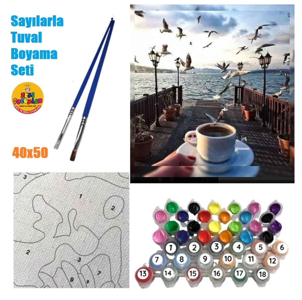 Sayılarla Tuval Boyama Ahşap Çerçeveli Kahve Deniz Martılar + Fırça + Akrilik Boyalar