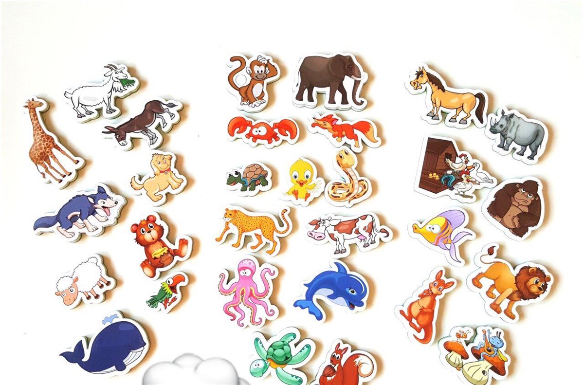 Zeki Magnet Hayvanlar Manyetik