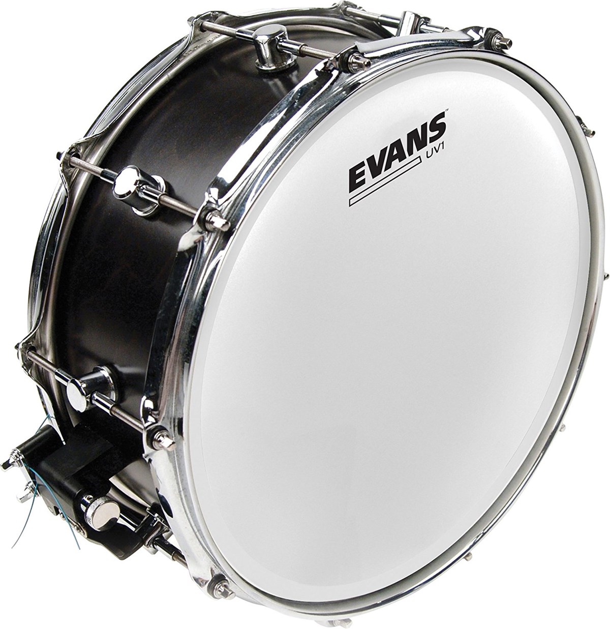 EVANS UV1 COATED 14'' TRAMPET DERİSİ