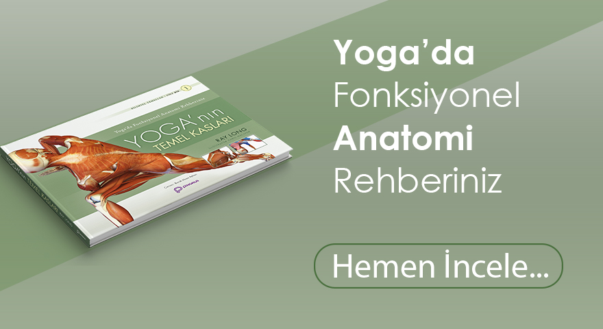 yoganın kasları banner